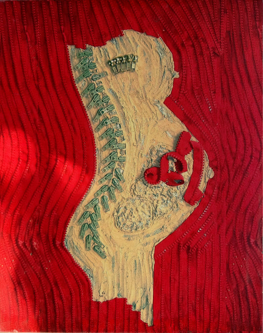 Print - pregnancy in zippers