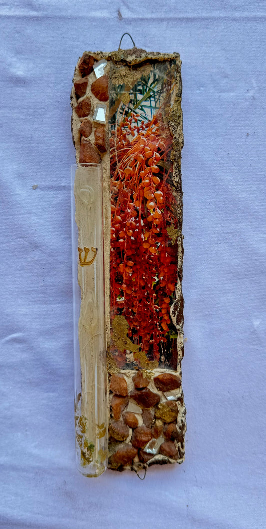 Mezuzah House 8